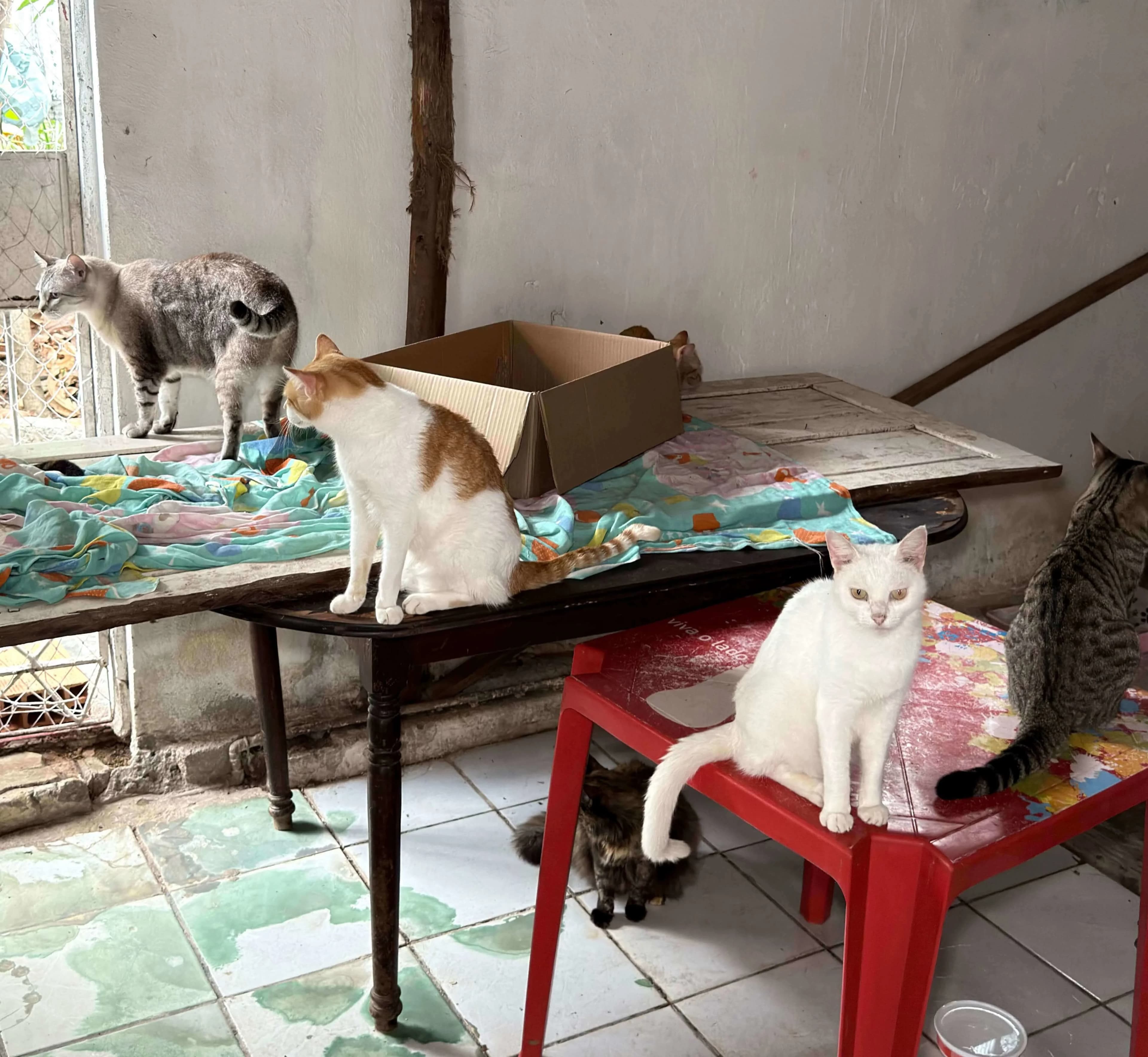 Photos from the shelter 3