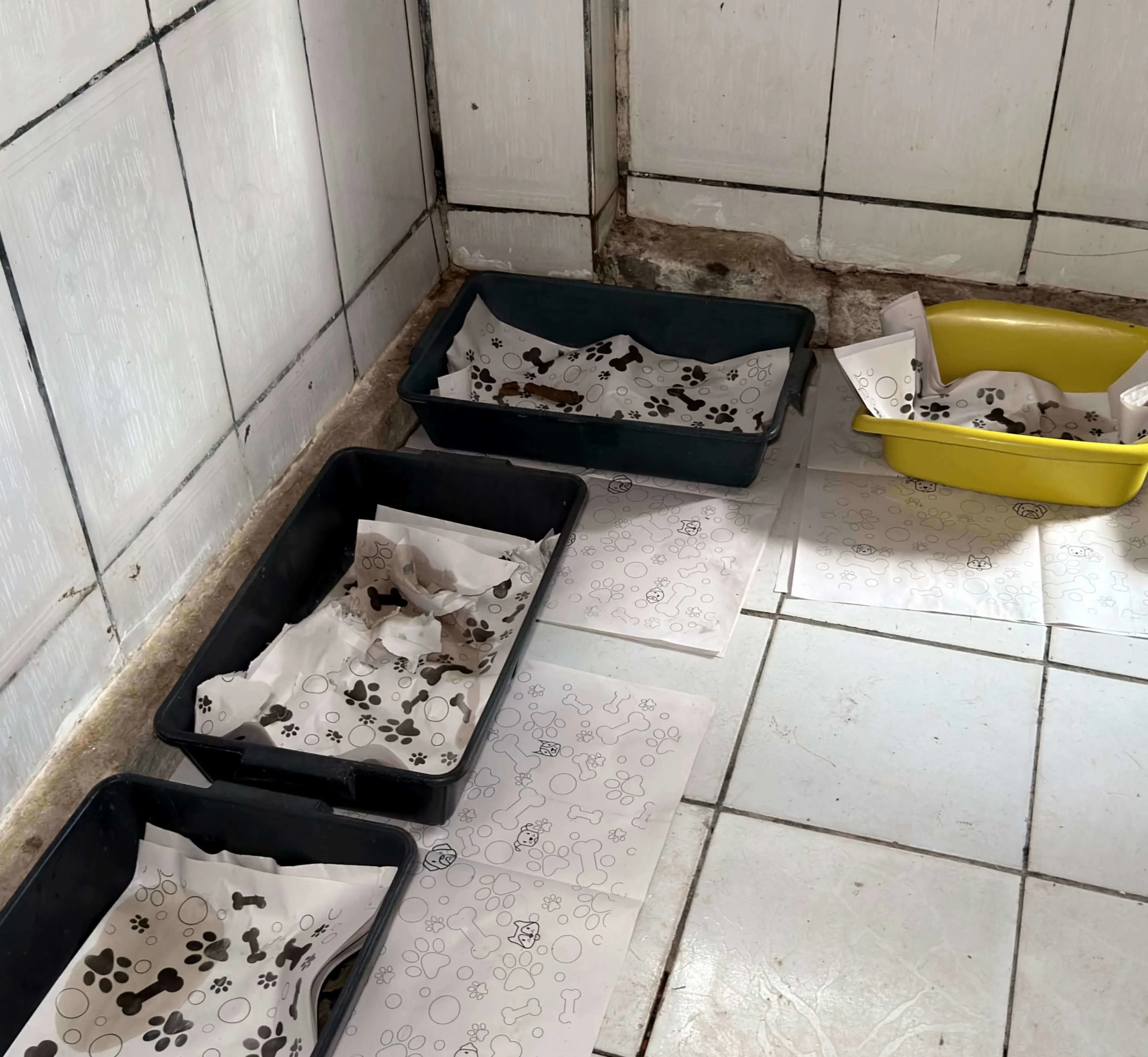 Photos from the shelter 5