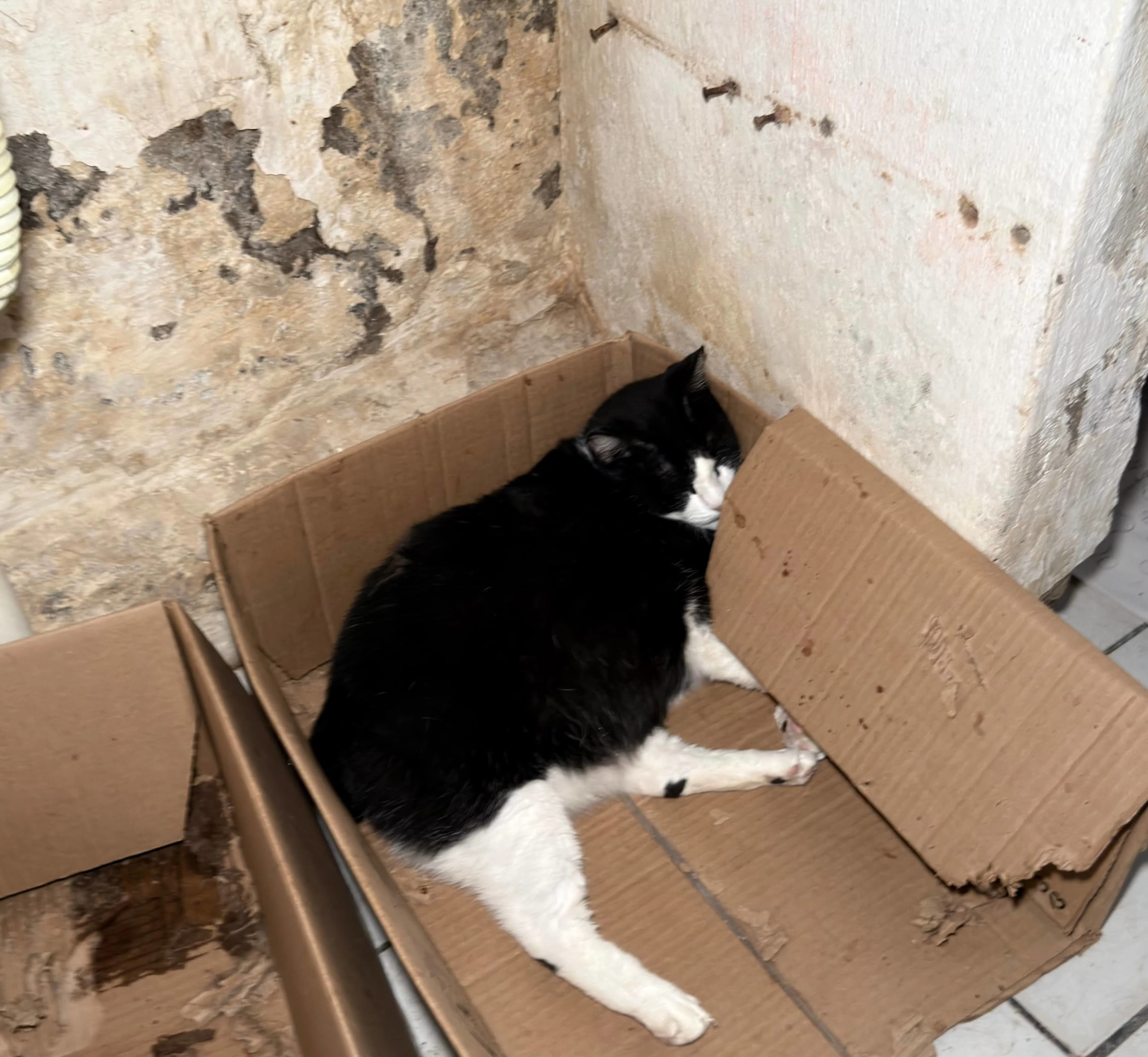 Photos from the shelter 6